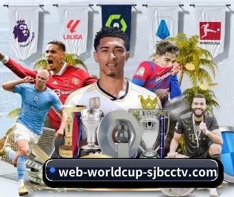 2026世界杯 APP